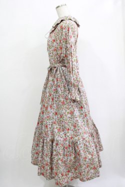 画像2: Jane Marple / Rambling roseフレアドレス  シルバーグレー H-25-12-07-006-JM-OP-KB-ZH