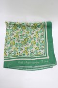 Fi.n.t / 10th Anniversaryスカーフ  GREEN H-25-12-09-080-CA-ZA-NS-ZH