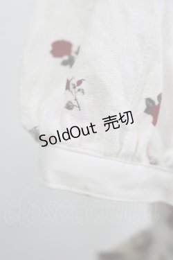 画像5: ALICE and the PIRATES / Vampire Prelude柄ワンピース Free アンティーク(生成） H-25-12-09-002-PA-OP-NS-ZH