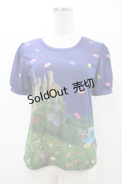 画像1: Jane Marple / Dreamy Dream Tシャツ  トワイライト H-25-12-10-1053-JM-TO-KB-ZT1230J