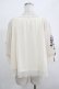 画像3: an another angelus / スミレ刺繍チュールブラウス Free OFF WHITE H-25-12-13-1042-CA-BL-NS-ZH (3)