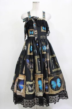 画像1: Royal Princess Alice / Fairy Butterfly2025 ドレス Free ブラック H-25-12-13-1013-LO-OP-NS-ZH