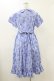 画像2: Jane Marple / Picnic cloth joyfulドレス  ブルー H-25-12-17-039-JM-OP-KB-ZH (2)