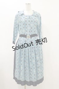 Jane Marple Dans Le Salon / Scottish lionグランマドレス  スカイブルー H-25-12-17-042-JM-OP-KB-ZH