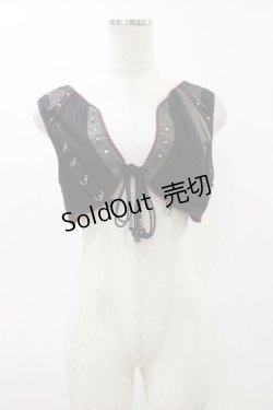 画像1: Rozen Kavalier / 刺繍ショートベスト  黒 H-25-12-17-045-OO-TO-KB-ZH