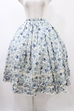 画像1: PrivateSquare. / ローズロングスカート  ブルー H-25-12-18-1028-LO-SK-KB-ZH