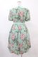 画像2: Jane Marple / Rose Bouquetワンピース  ミント H-25-12-18-1034-JM-OP-KB-ZH (2)