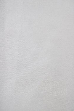 画像3: Fi.n.t / ステンドグラス風シアー衿ブラウス Free IVORY H-25-12-19-1052-CA-BL-NS-ZH