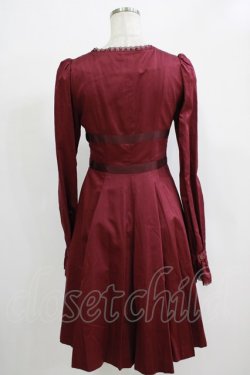 画像3: Victorian maiden / ロングスリーブオーバードレス Free シュールージュ H-25-12-20-031-CL-OP-NS-ZH