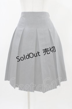 画像1: F i.n.t / ボックスプリーツスカート Free GRAY H-25-12-24-037-CA-SK-NS-ZH