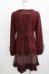 画像3: Rozen Kavalier / 裾プリントZIPオーバーワンピース  ボルドー H-25-12-24-1039-OO-OP-KB-ZH (3)