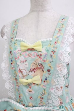 画像5: Royal Princess Alice / Animal Picnic Rendezvous・森庭ミカコラボ/ジャンパースカート Free ミント H-25-12-27-1014-LO-OP-NS-ZH