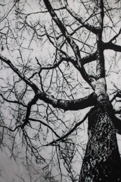 画像4: NieR Clothing / 総柄ZIPパーカー F 白 H-25-12-28-1049-PU-TO-KB-ZH