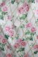 画像4: Melody BasKet / Rose gardenフリルカラーワンピース M アイボリー H-25-12-28-1009-LO-OP-KB-ZH (4)