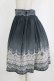 画像2: abilletage / グラデーションレーススカート  ミディアム丈ブラック H-26-01-04-033-GO-SK-KB-ZH (2)