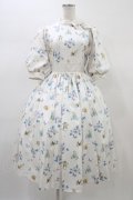 Innocent World / ピーターラビット小花レースワンピース M オフ H-26-01-04-1034-IW-OP-NS-ZH