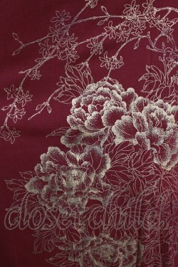 画像4: Ozz oneste / プリントジレ  赤 H-26-01-06-047-OO-TO-KB-ZH