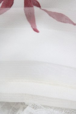 画像5: LIZ LISA / イングリッシュローズスカート Free オフ H-26-01-07-1031-LO-SK-NS-ZH