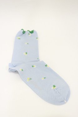 画像1: Candy Stripper / FLOWER SOCKS  サックス H-26-01-11-004-PU-ZA-KB-ZH