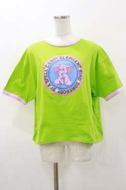 画像1: Candy Stripper / SUNNY ELEPHANT Tee 2 グリーン H-26-01-11-044-PU-TO-KB-ZH