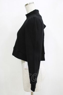 画像2: lilLilly / ハイネックショートトップス  ブラック H-26-01-14-075-LO-TO-KB-ZH