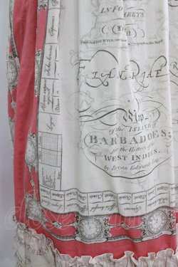 画像4: Jane Marple Dans Le Salon / Bon voyageペザントスカート  ローズ H-26-01-14-021-JM-SK-KB-ZH