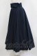 画像2: an another angelus / パニエサーキュラースカート Free NAVY H-26-01-20-012-CA-SK-NS-ZH (2)