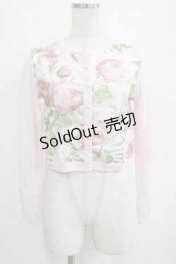 画像1: JESUS DIAMANTE / アントーニアカーデ 40 メリーベルローズ柄ピンク H-26-01-23-041-JE-TO-NS-ZH