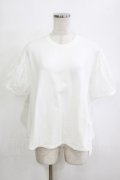Jane Marple / Sheer Puffy Sleeve Pullover  off white×off white H-26-01-25-033-JM-TO-KB-ZH