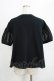 画像3: Jane Marple / Sheer Puffy Sleeve Pullover  black×black H-26-01-25-034-JM-TO-KB-ZH (3)