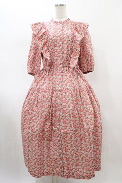 画像1: Jane Marple Dans Le Salon / CHARMIAN Agatha dress  rose H-26-01-25-1027-JM-OP-KB-ZH