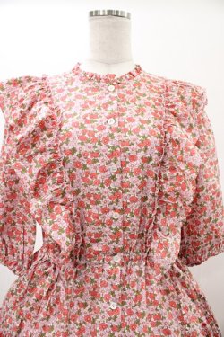 画像4: Jane Marple Dans Le Salon / CHARMIAN Agatha dress  rose H-26-01-25-1027-JM-OP-KB-ZH