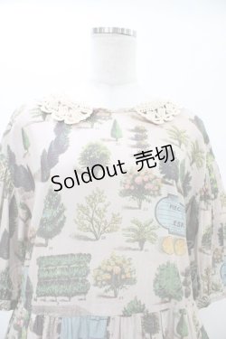 画像4: Jane Marple Dans Le Salon / The grand houseフラッフィードレス  ピンクベージュ H-26-01-25-1023-JM-OP-KB-ZH