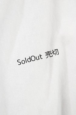 画像3: Favorite / アンダースカート Free グレー H-26-01-26-056-LO-SK-NS-ZH