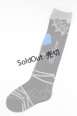 画像1: Triple fortune / ブルーローズハイソックス  ブラック H-26-01-28-062-EL-ZA-KB-ZH