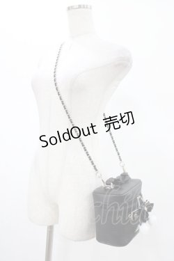 画像2: Ank Rouge / リボンバニティショルダーバッグ  ブラック H-26-01-29-011-CA-BG-NS-ZH