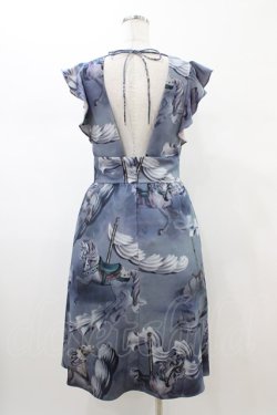 画像2: MILK / DREAMLANDドレス  Hellカラー H-26-02-01-1020-ML-OP-KB-ZH