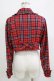 画像3: axes femme kawaii / タータンチェックジャケット M レッド H-26-02-02-030-AX-JA-NS-ZH (3)