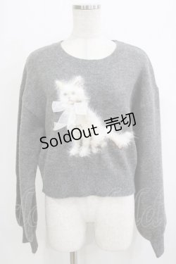 画像1: axes femme / ライン刺繍ニットプルオーバー Free グレー H-26-02-02-054-AX-TO-NS-ZH