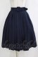 画像1: Fi.n.t / 太ベルト付きプリーツスカート Free NAVY H-26-02-02-015-CA-SK-NS-ZH (1)