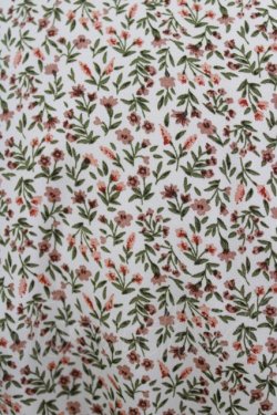 画像4: Fi.n.t / パイピング使い小花柄ワンピース Free IVORY H-26-02-03-009-CA-OP-NS-ZH