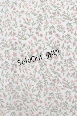 画像4: Fi.n.t / パイピング使い小花柄ワンピース Free IVORY H-26-02-03-009-CA-OP-NS-ZH