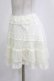画像2: LIZ LISA / ドットチュールスカート Free オフ H-26-02-05-1044-LO-SK-NS-ZH (2)