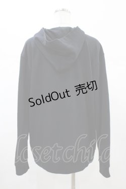 画像2: SEX POT ReVeNGe / チェーンフードZIPパーカー  ブラック H-26-02-07-1060-SP-TO-KB-ZH