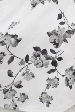 画像4: couture BY ROJITA / レーシーティアードミニスカート Free アイボリー/花柄 H-26-02-07-010-GO-SK-NS-ZH