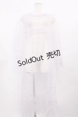 画像1: Nile Perch / チュールオーバードレス Free ラベンダー H-26-02-09-1036-LO-OP-NS-ZH