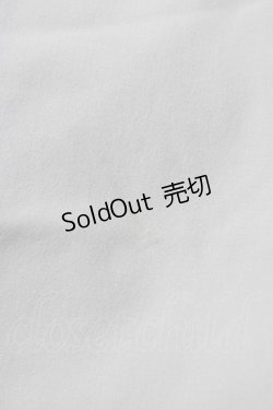 画像4: an another angelus / 銀食器カットワーク衿ブラウス Free GRAY H-26-02-11-1055-CA-BL-NS-ZH