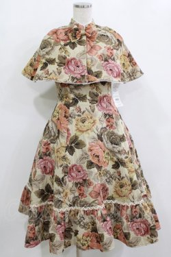 画像1: Victorian maiden / 薔薇ゴブランタペストリーケープ付きスリーブレスドレス Free ベージュ H-26-02-12-006-CL-OP-NS-ZH
