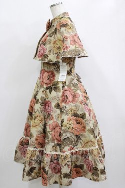 画像2: Victorian maiden / 薔薇ゴブランタペストリーケープ付きスリーブレスドレス Free ベージュ H-26-02-12-006-CL-OP-NS-ZH