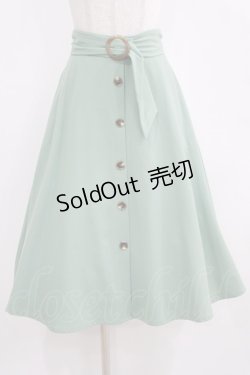 画像1: an another angelus / べっ甲バックルベルトフレアースカート Free MINT H-26-02-14-015-CA-SK-NS-ZH